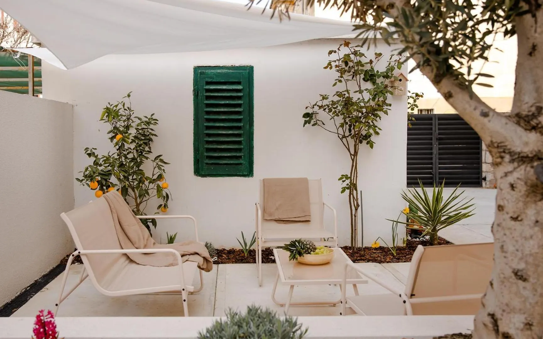 Olea Premium Rooms Zadar Apartamento